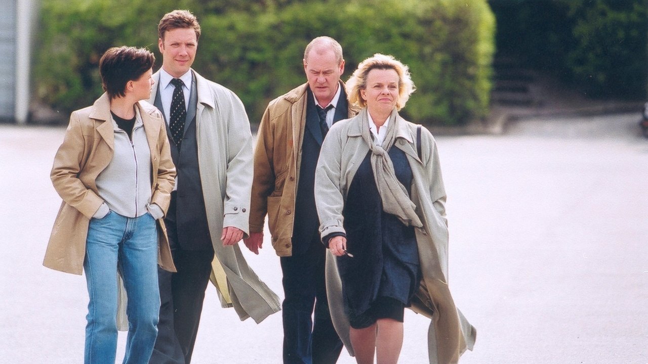 Beck 15 - The Boy in the Glass Ball backdrop