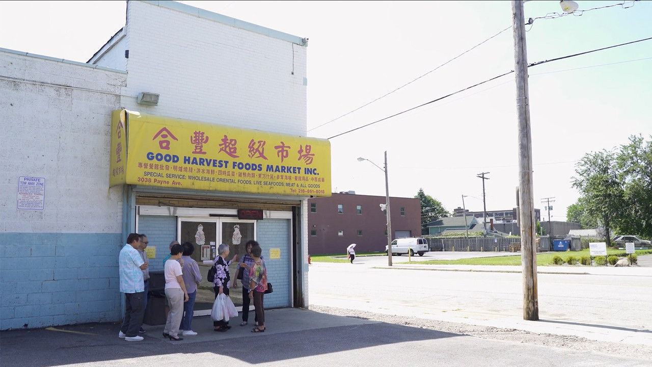 Good Harvest backdrop
