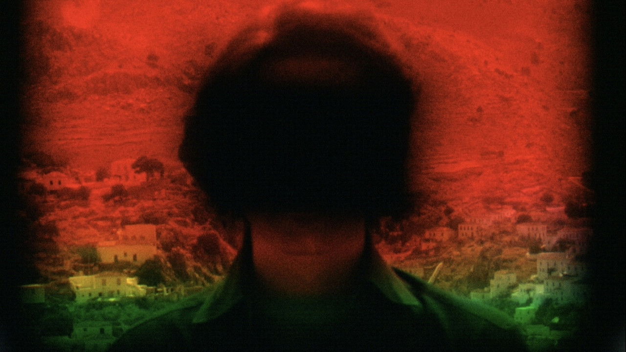 Still Light backdrop