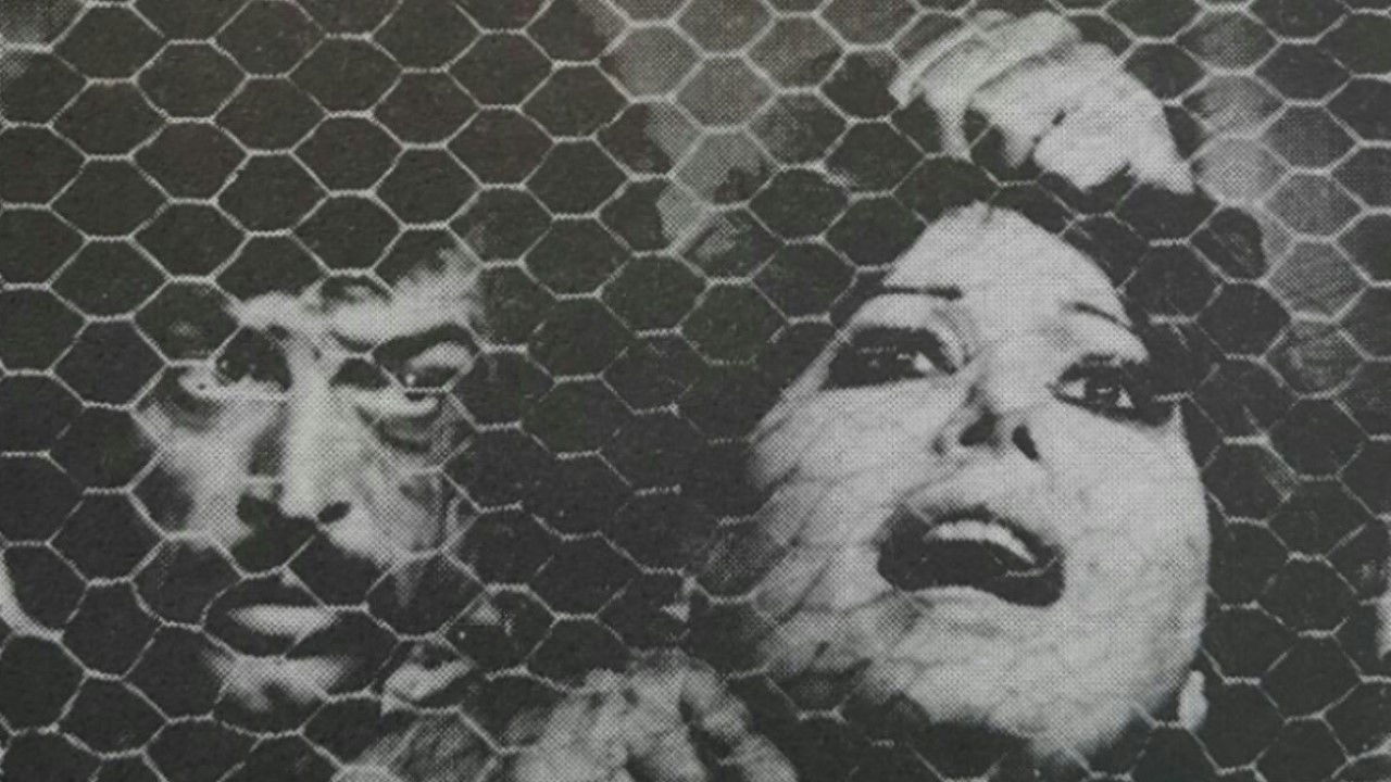 The Red-Haired backdrop