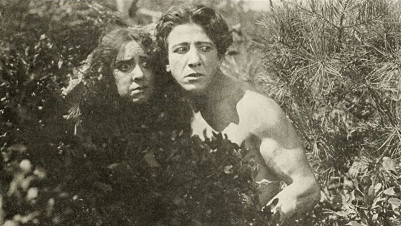 McVeagh of the South Seas backdrop