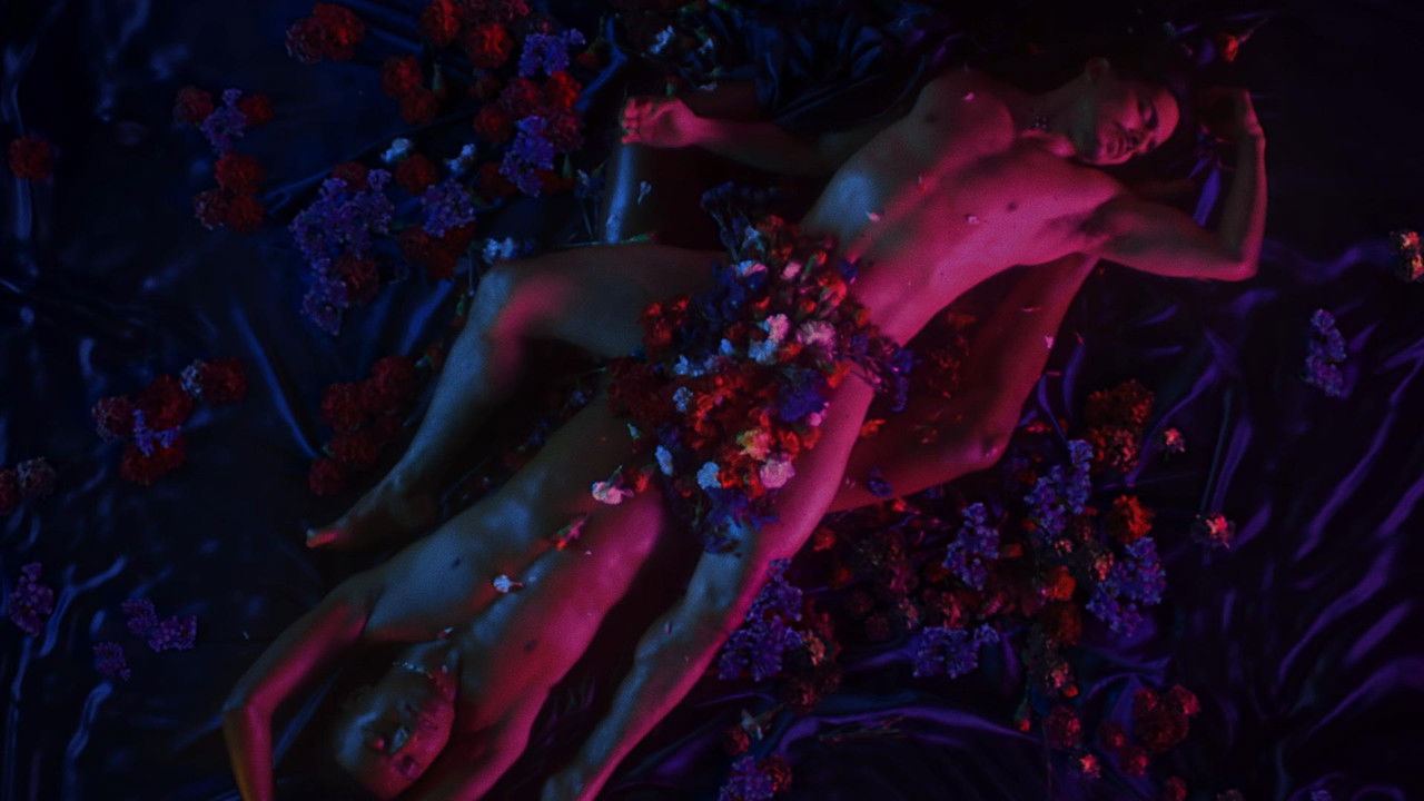 The Little Death backdrop