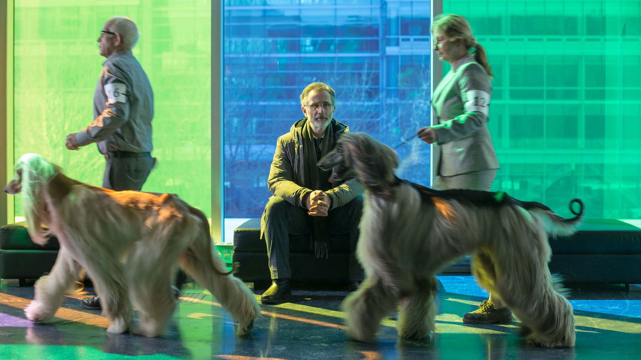 The New Life of Paul Sneijder backdrop