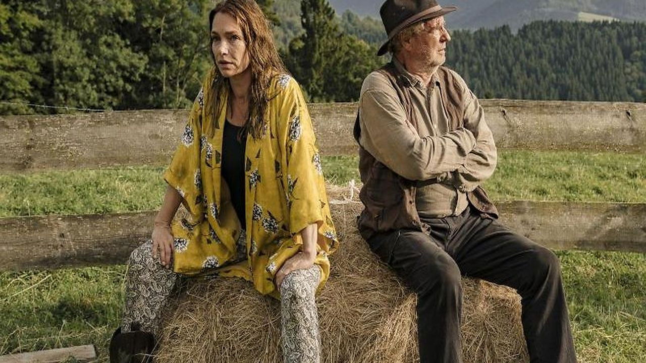 Zimmer mit Stall - Ab in die Berge backdrop