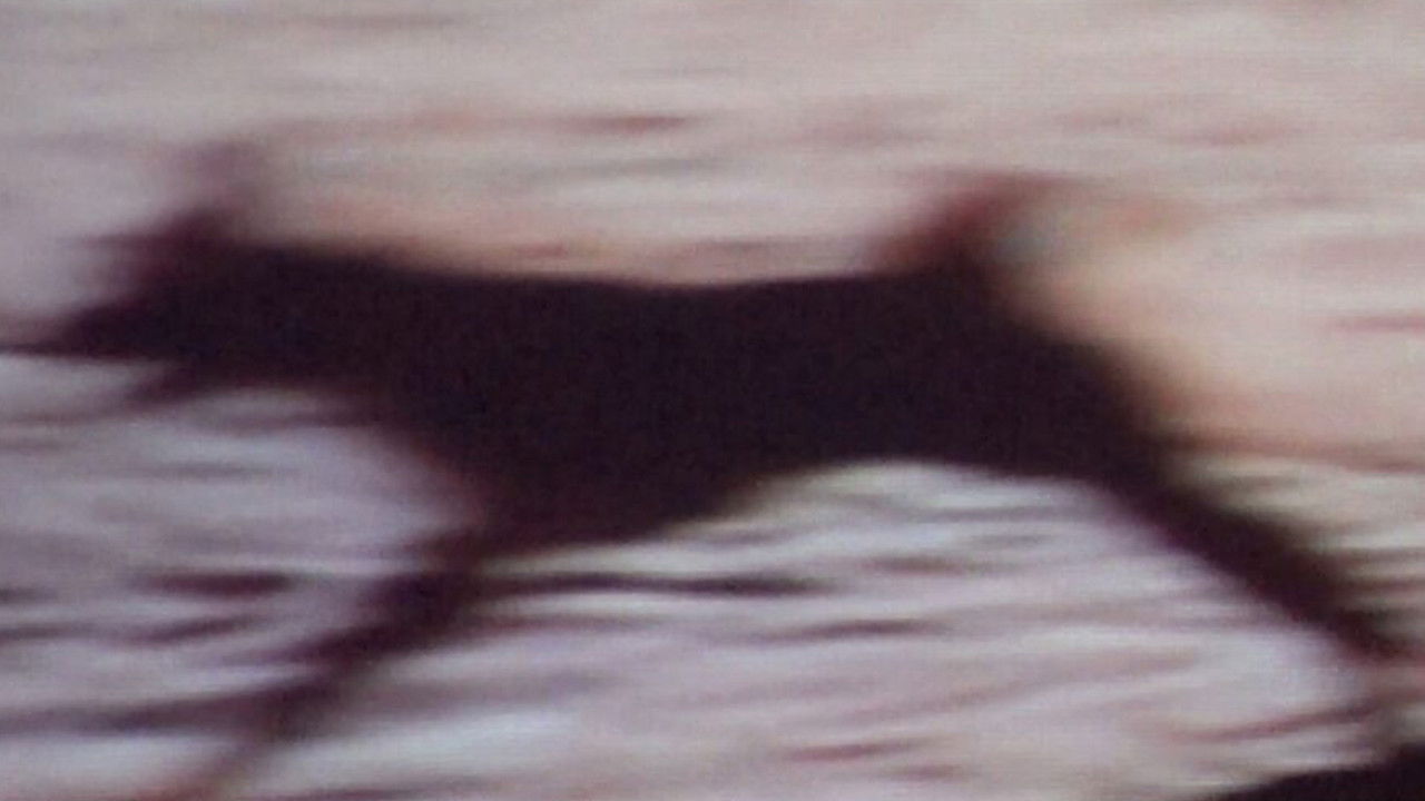 Rituales de registro backdrop