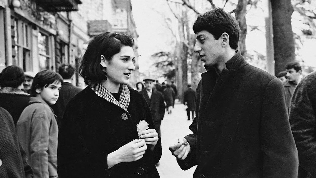 Falling Leaves backdrop