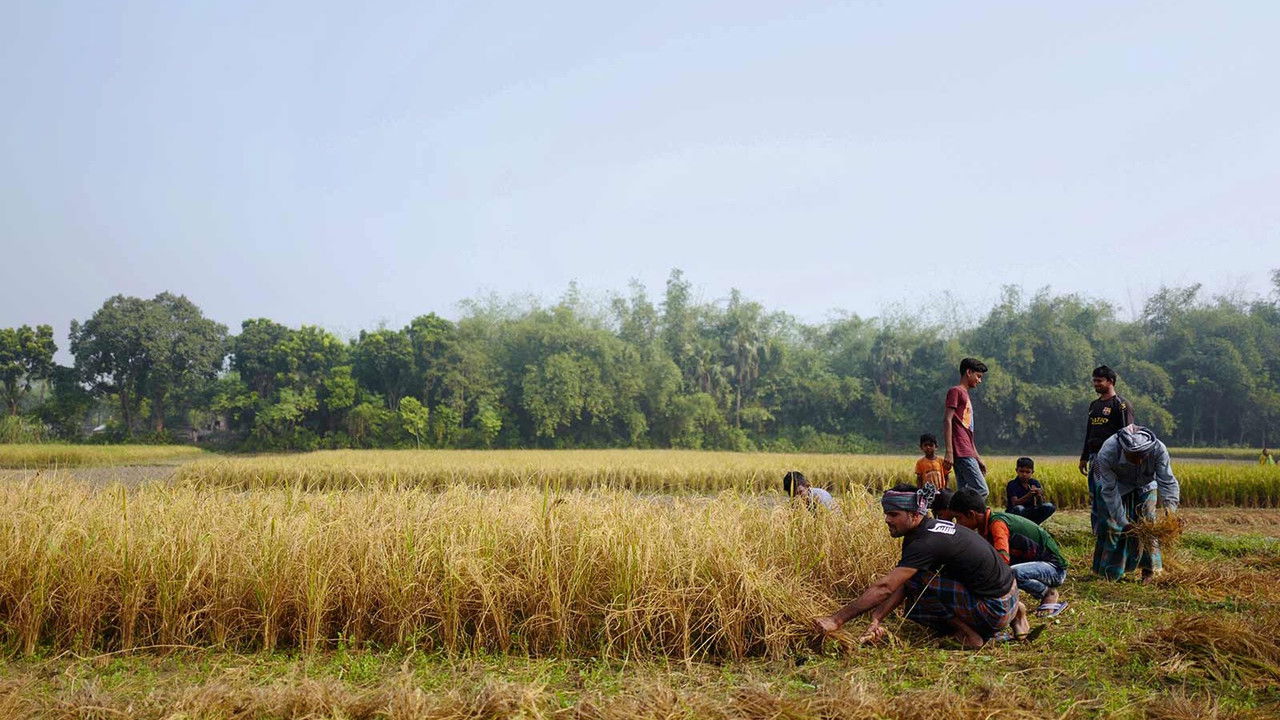 I Dream of Singapore backdrop