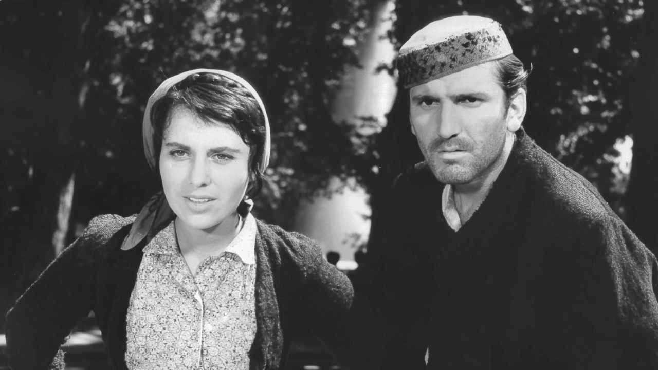 Train without a Timetable backdrop