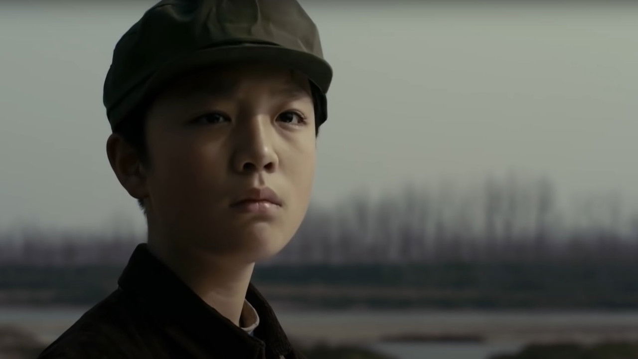 Colorful Cobblestones backdrop