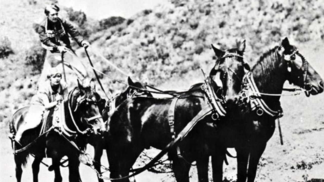 The Arizona Whirlwind backdrop