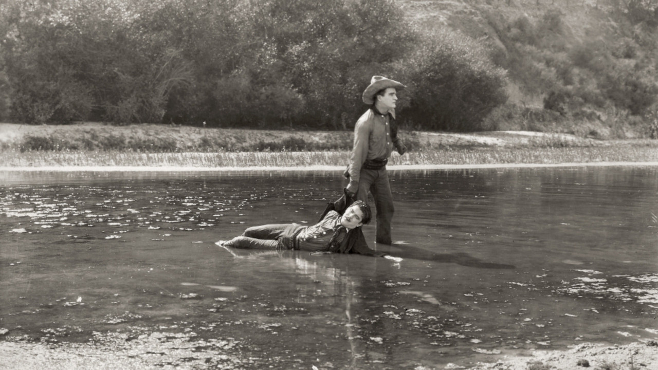 The Meddler backdrop