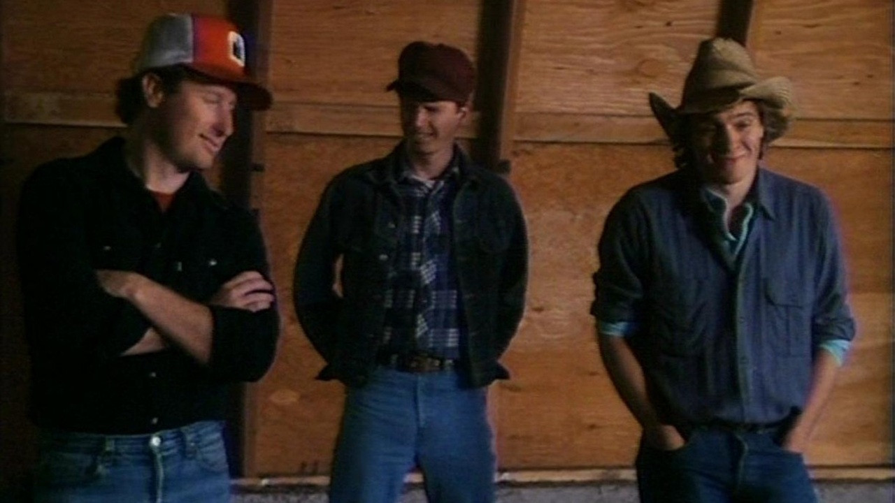 American Harvest backdrop