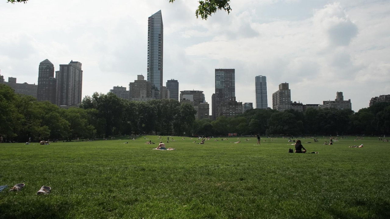 The Voices of New York backdrop