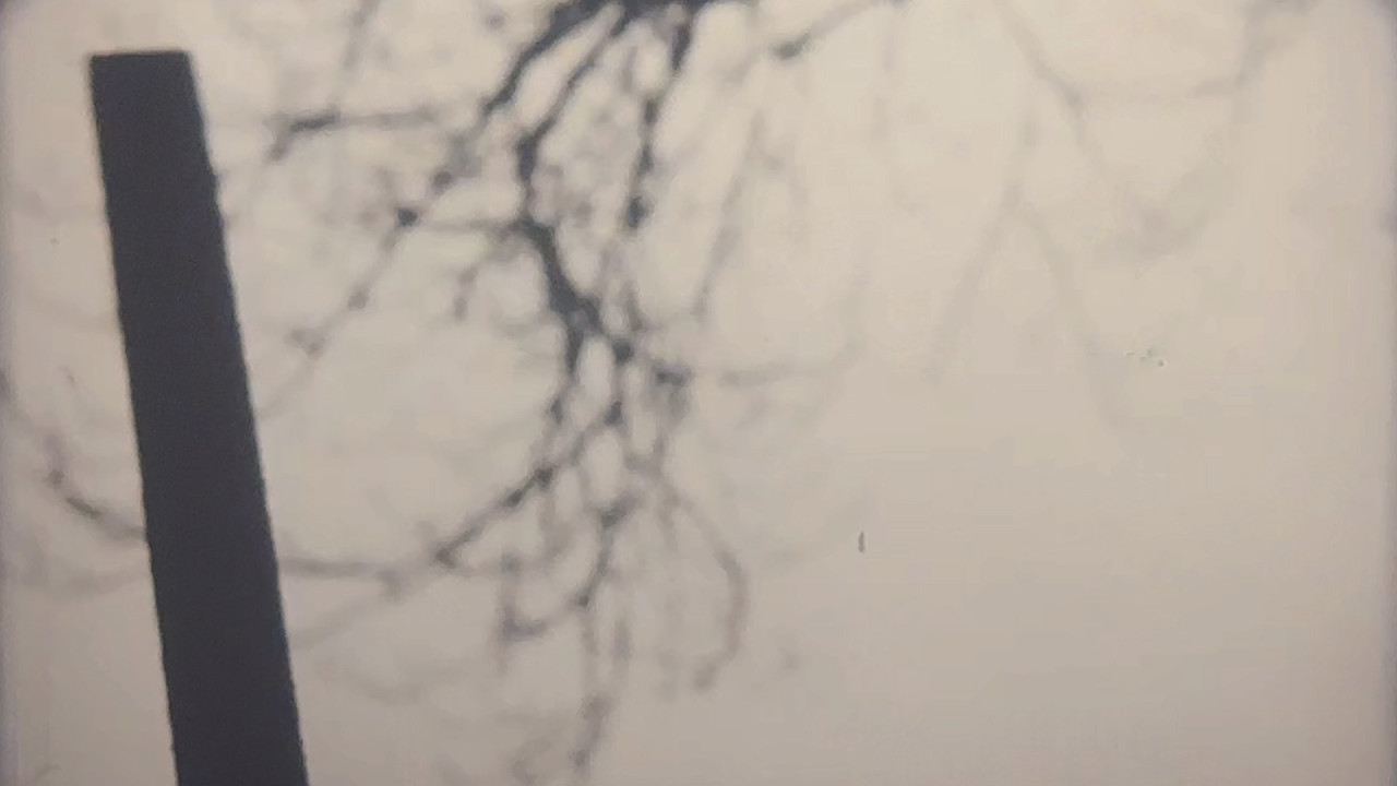 Your Death is My Delight backdrop