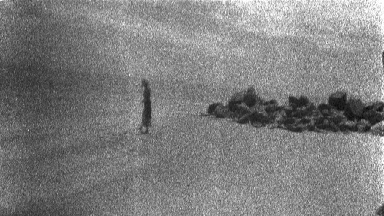 Dream in Shambles backdrop