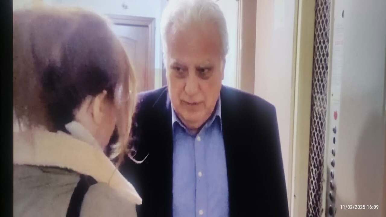 THE GOLDFISH AND THE TRUTH backdrop