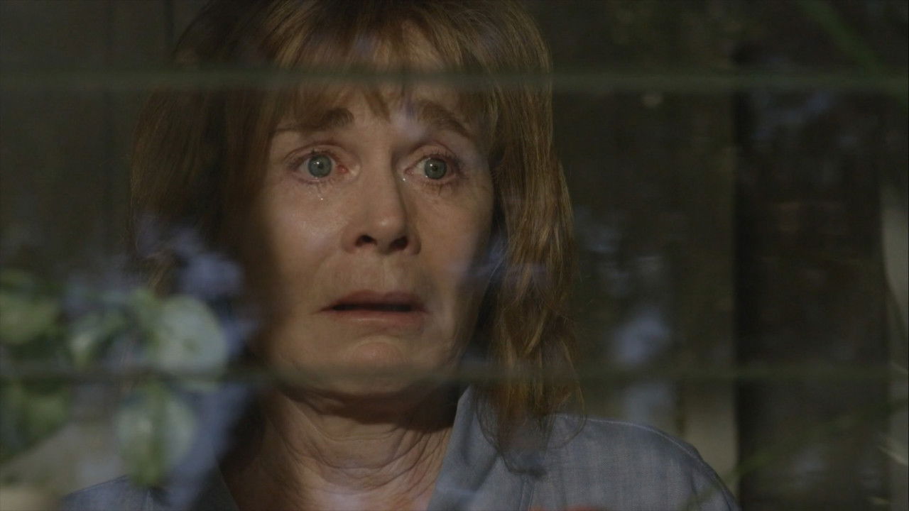 Harvey's Dream backdrop