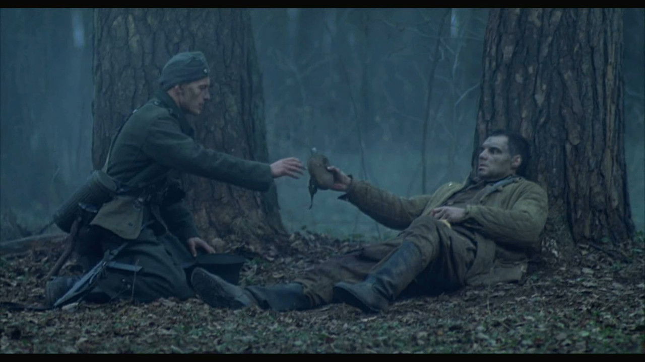 Without Words backdrop