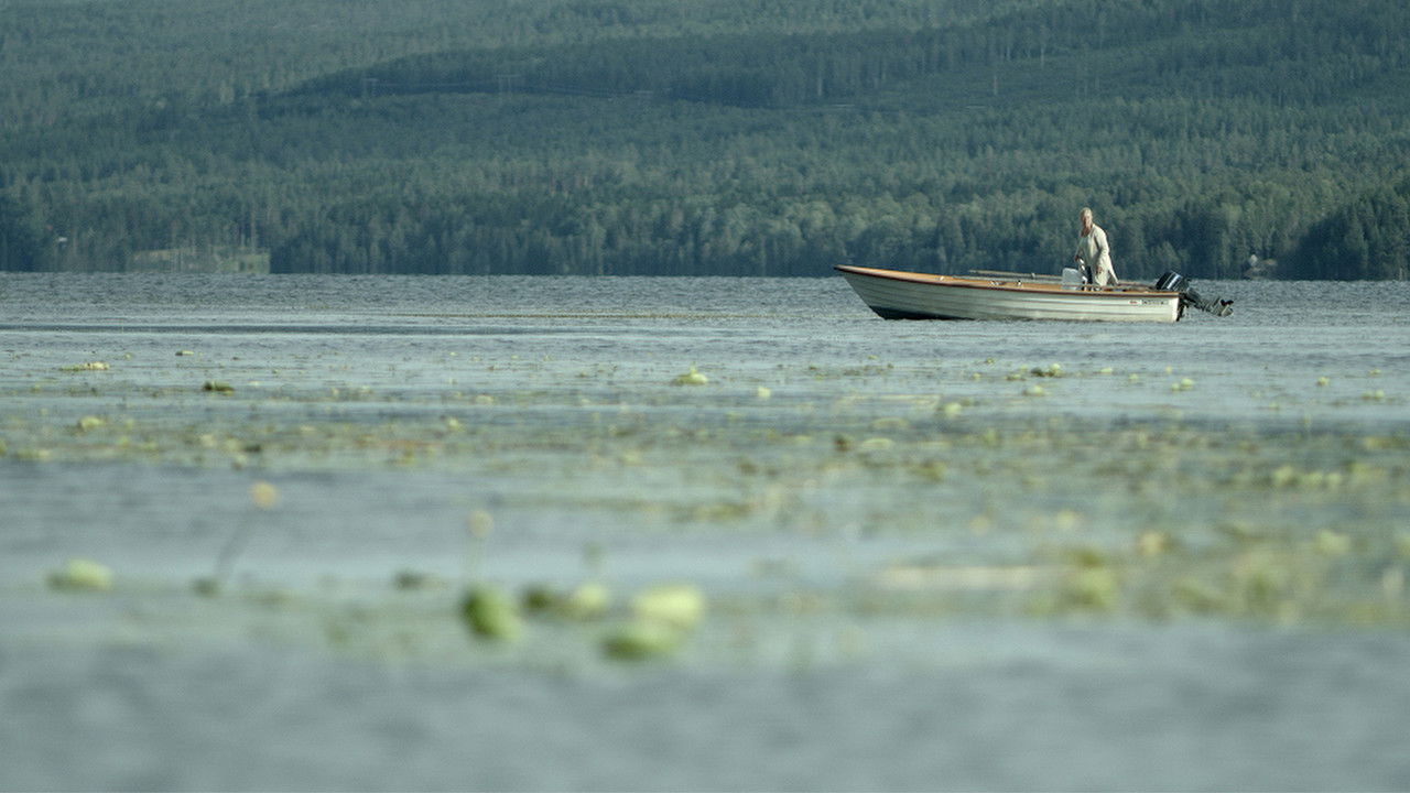 Where Is the Wolf? backdrop