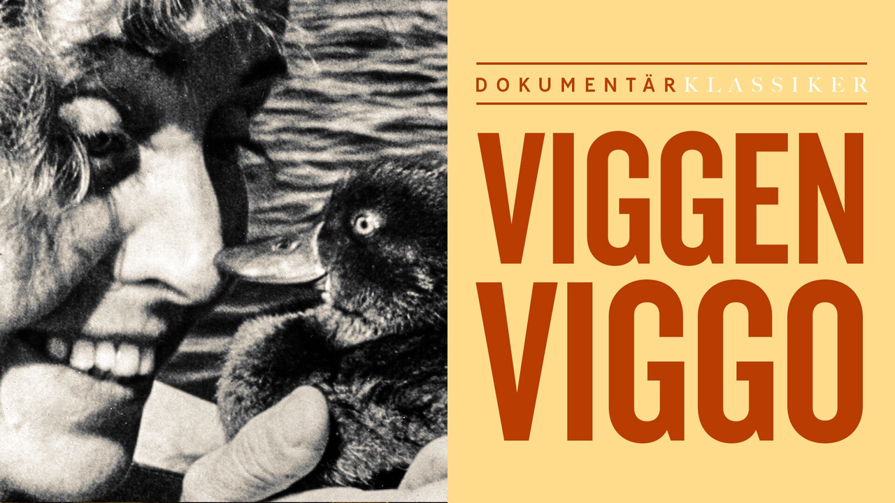 Viggen Viggo backdrop