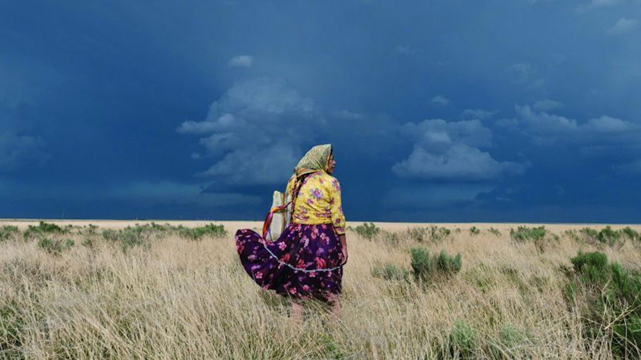 The Woman of Stars and Mountains backdrop