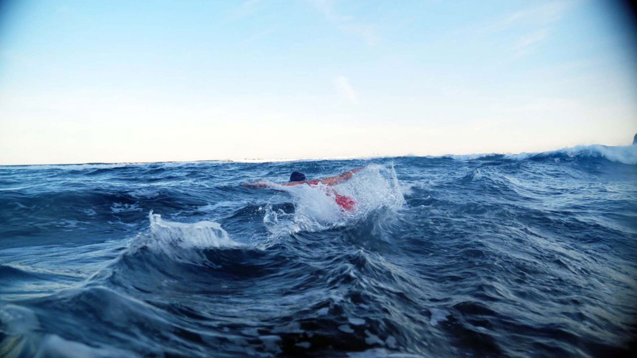 Die Schwimmerin backdrop