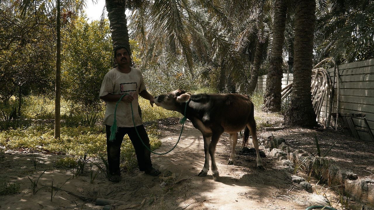 Coming from the east backdrop