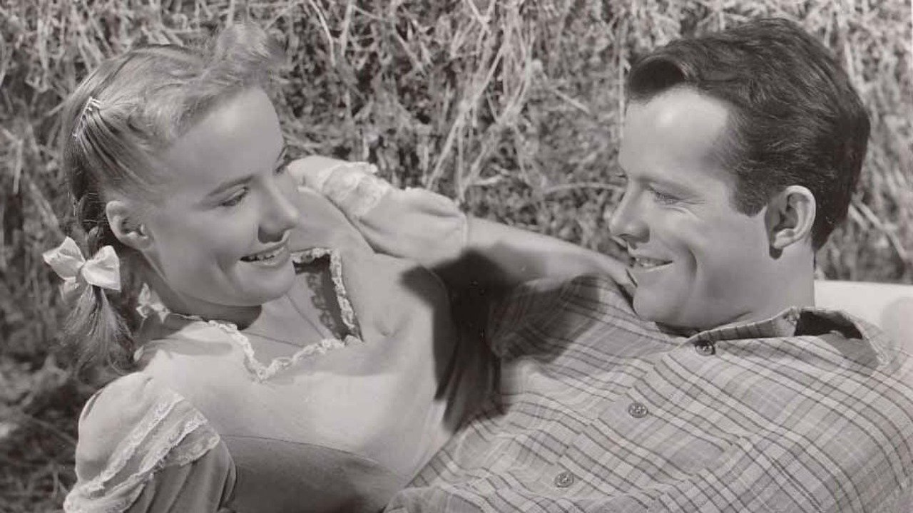 The Big Cat backdrop