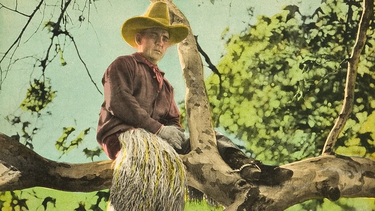 The Gentle Cyclone backdrop