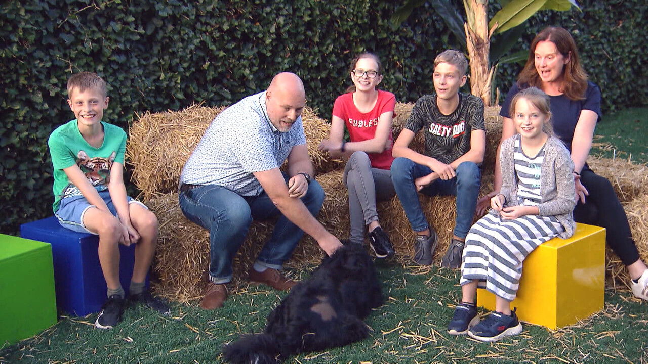 Nieuwe Baasjes backdrop