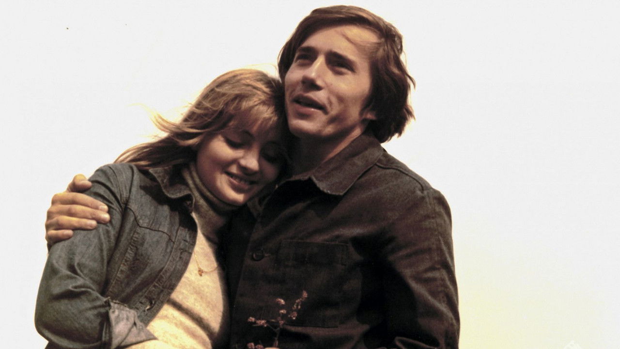 Horizontal Landscape backdrop