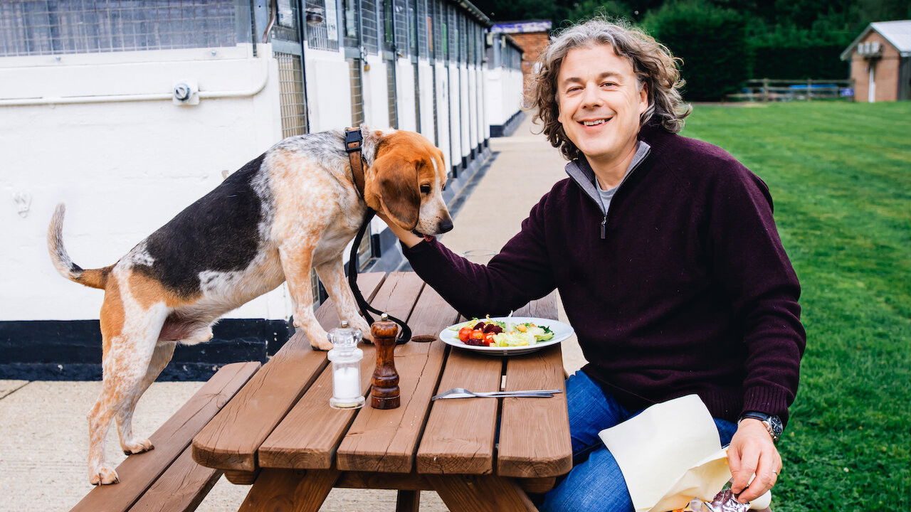 The Dog Rescuers with Alan Davies backdrop