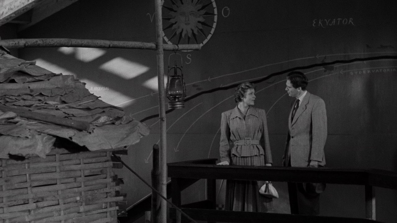 The Disappearance of a Young Wife backdrop