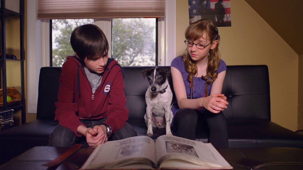 Vampire Dog backdrop