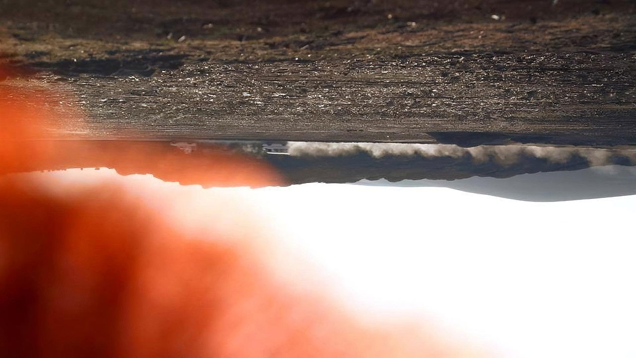 Ants Apartment backdrop