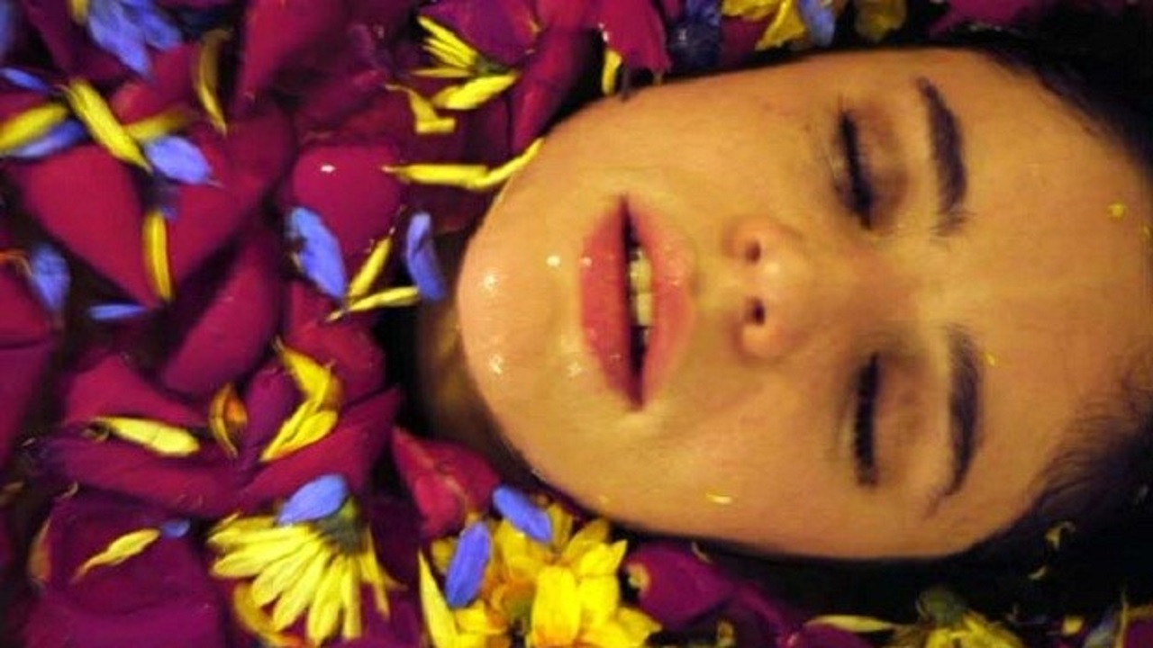 Violet of a Thousand Colors backdrop