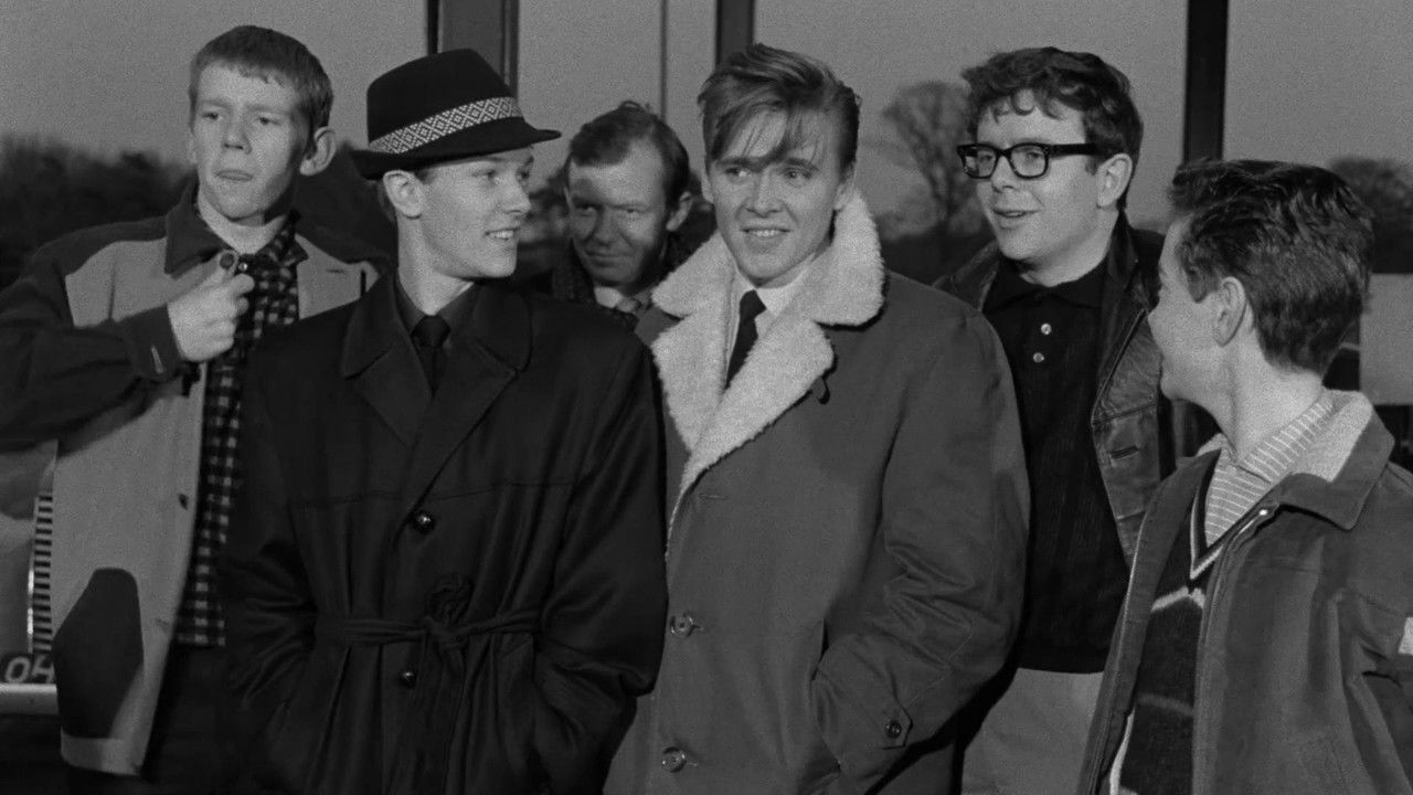 Play It Cool backdrop