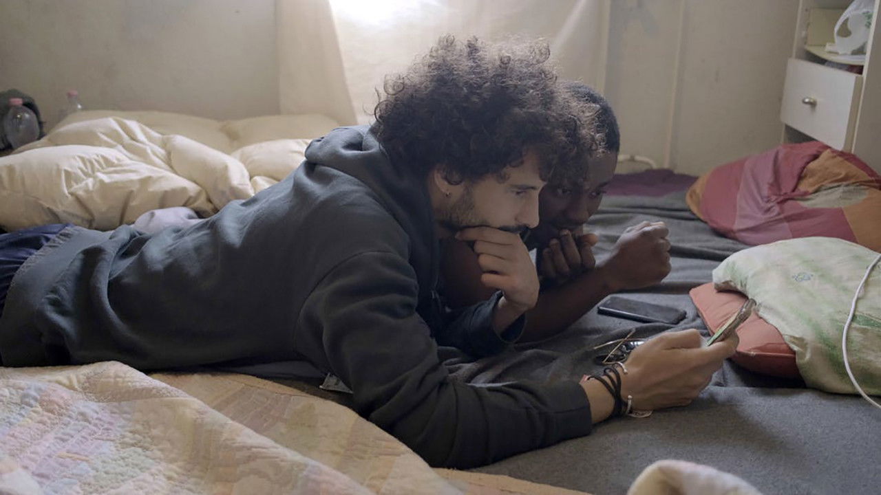 Dynamic Wisdom backdrop