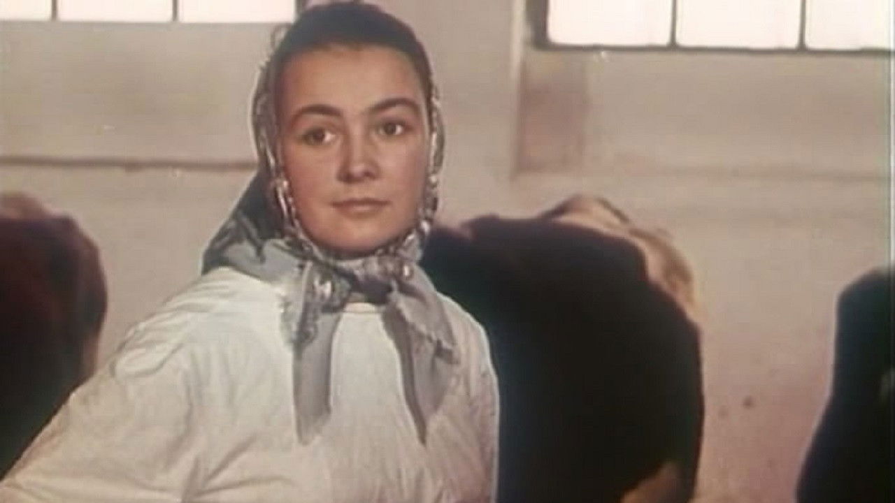 Country Roads backdrop