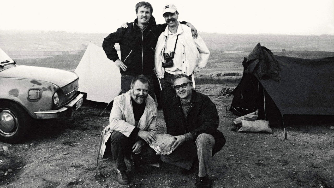 Oil Gobblers backdrop