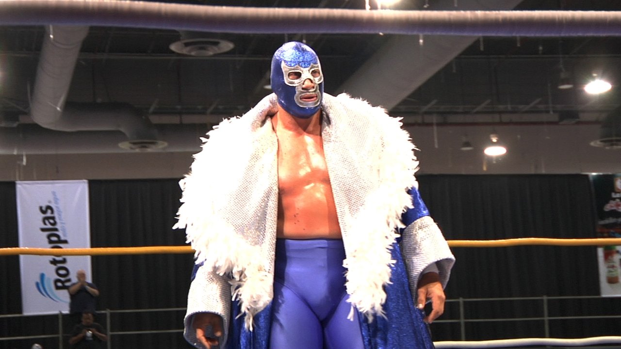 Lucha Mexico backdrop