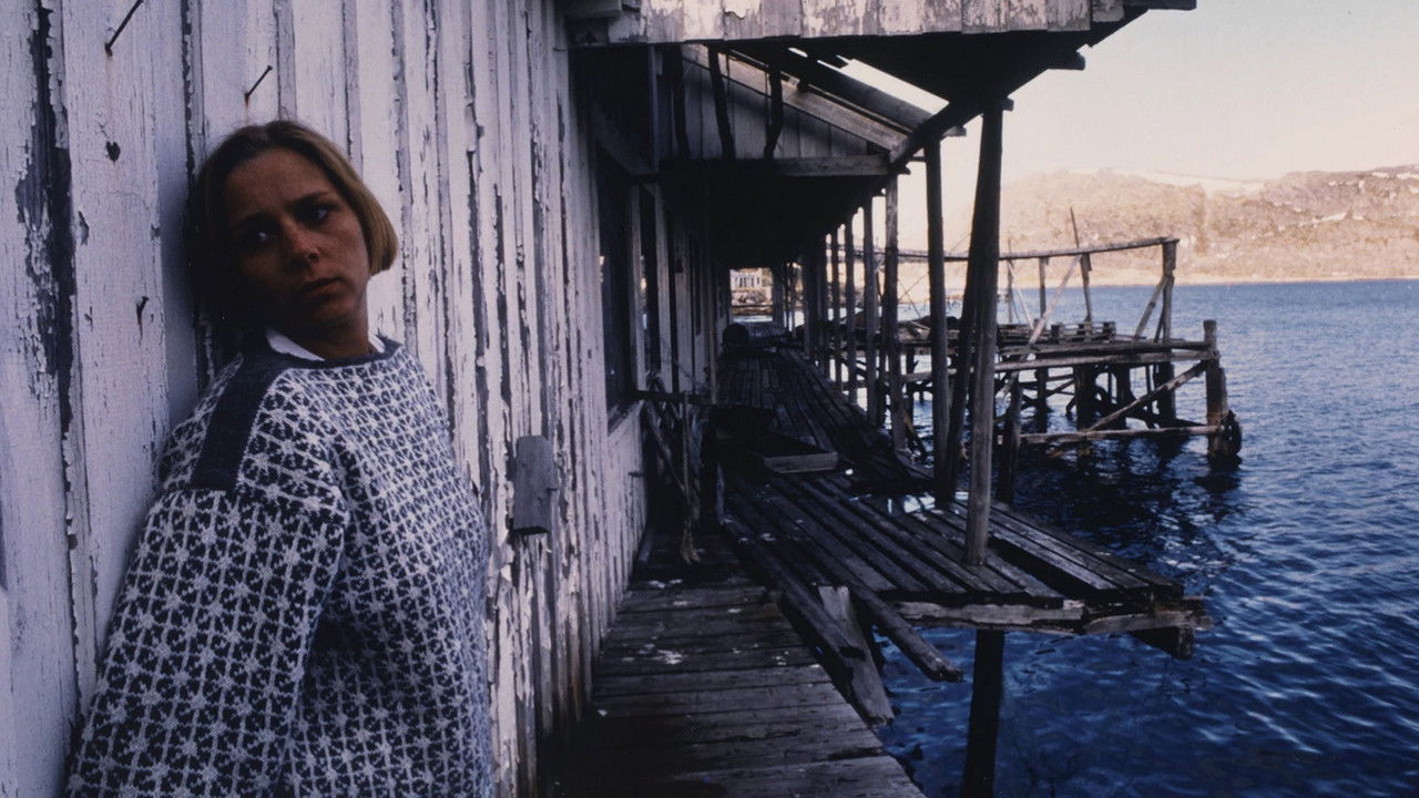 Stella Polaris backdrop