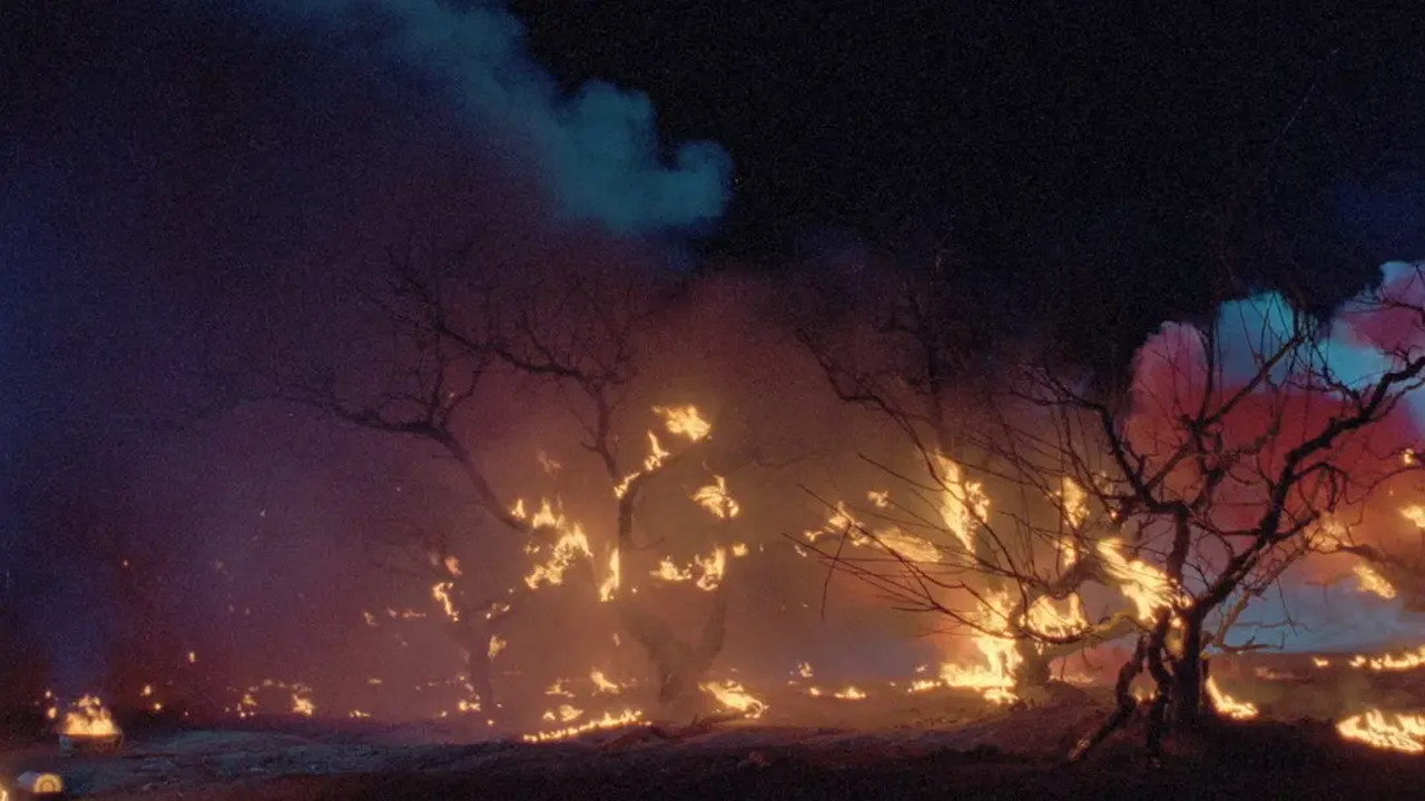 Painted Skin backdrop