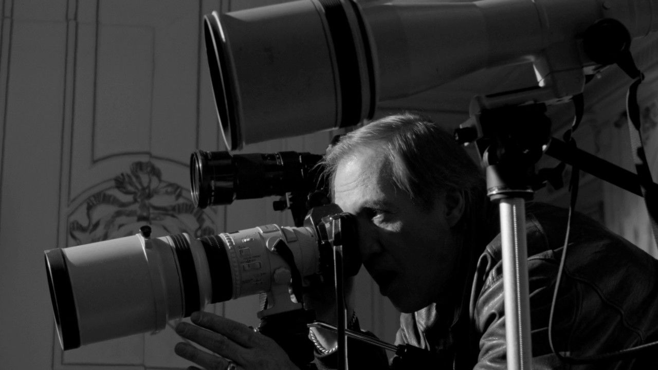 The Trace of Lynx backdrop