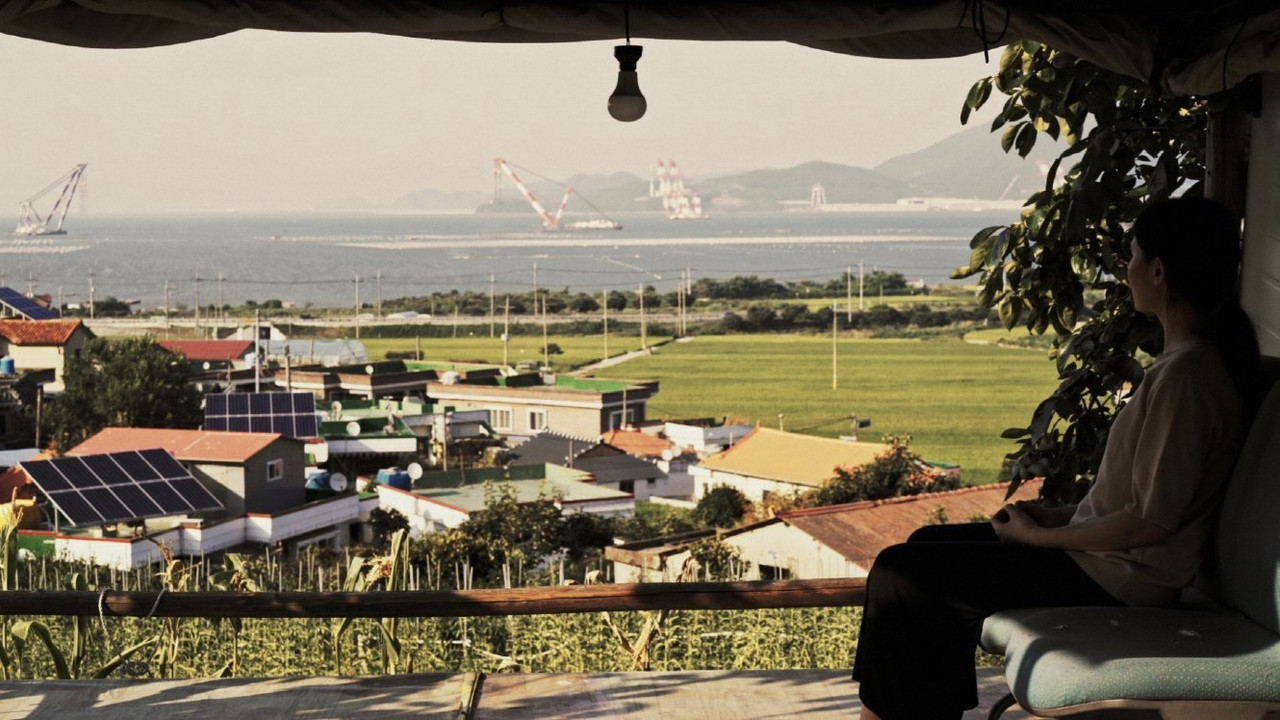 Days in a Summer backdrop