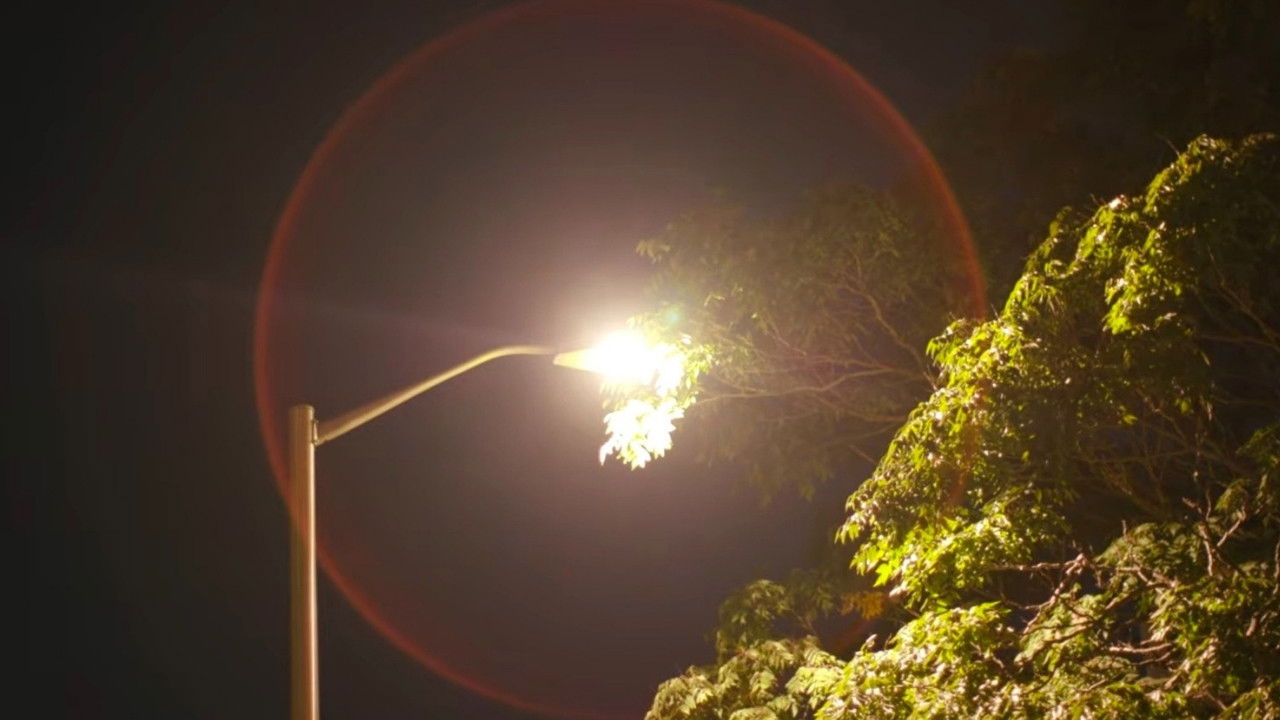 From Here to There and Back Again backdrop