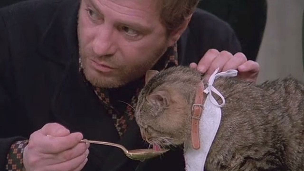 Eye of the Cat backdrop