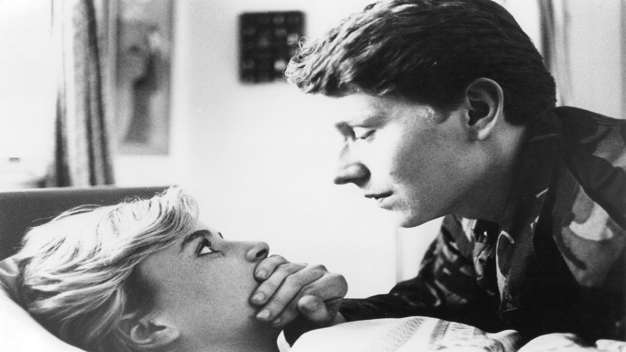 Winter Flight backdrop