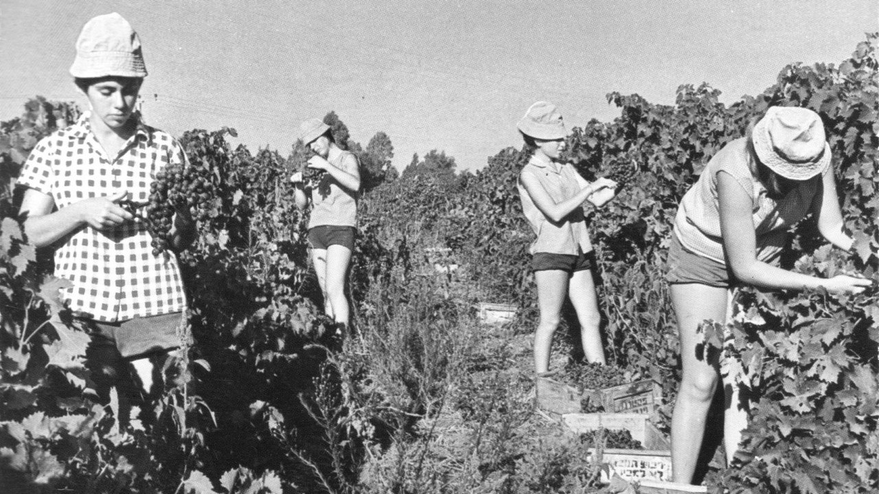 Generació Kibbutz backdrop