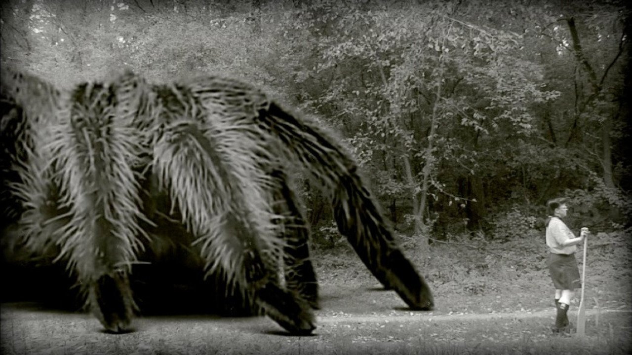 The Giant Spider backdrop